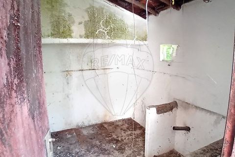 Farm hus i Coruche, Santarem, Coruche - € 179.000 | Ref: 120611246-375 - foto 9