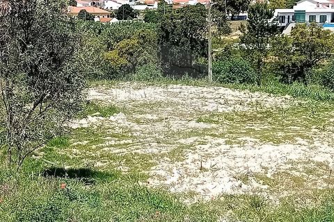 Farm hus i Coruche, Santarem, Coruche - € 179.000 | Ref: 120611246-375 - foto 14