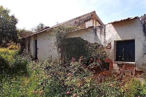 Farm hus i Coruche, Santarem, Coruche - € 179.000 | Ref: 120611246-375 - foto 17