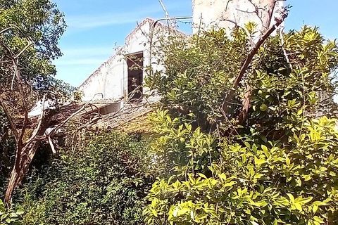 Farm hus i Coruche, Santarem, Coruche - € 179.000 | Ref: 120611246-375 - foto 19