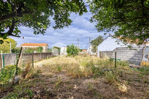 Villa a Santarem, Santarem, Santarem - € 270.000 | Ref: FR1125 - foto 19