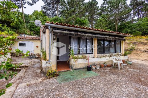 Villa i Sintra, Lisbon, Sintra - € 345.000 | Ref: FR1126 - foto 1