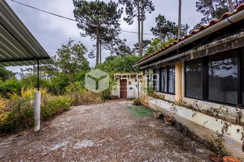 Villa i Sintra, Lisbon, Sintra - € 345.000 | Ref: FR1126 - foto 2