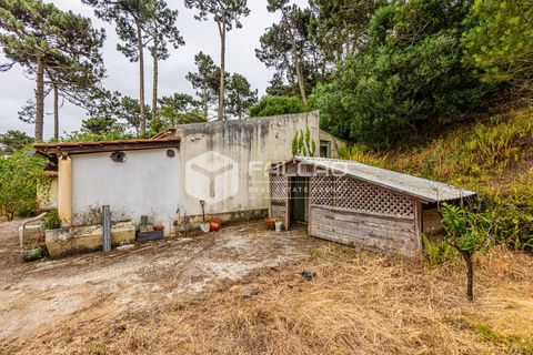 Villa i Sintra, Lisbon, Sintra - € 345.000 | Ref: FR1126 - foto 3