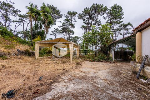 Villa i Sintra, Lisbon, Sintra - € 345.000 | Ref: FR1126 - foto 6