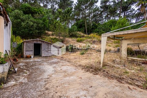 Villa i Sintra, Lisbon, Sintra - € 345.000 | Ref: FR1126 - foto 7