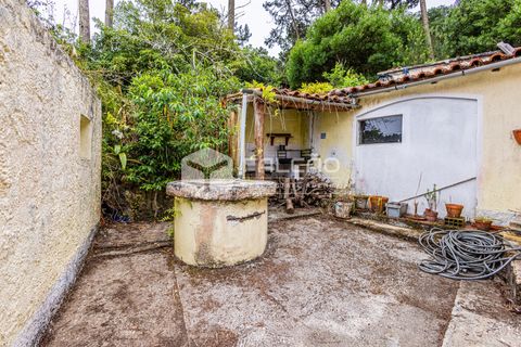 Villa i Sintra, Lisbon, Sintra - € 345.000 | Ref: FR1126 - foto 15