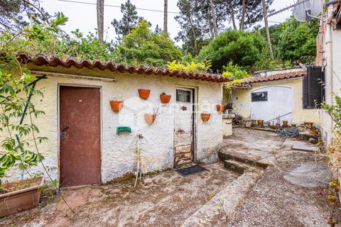 Villa i Sintra, Lisbon, Sintra - € 345.000 | Ref: FR1126 - foto 16
