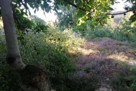 Landejendom i Zujar, Granada, Zujar - € 25.000 | Ref: v3161 - foto 24
