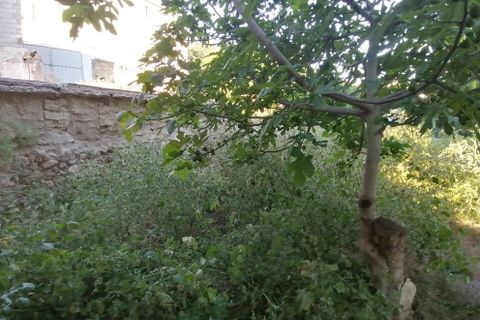 Landejendom i Zujar, Granada, Zujar - € 25.000 | Ref: v3161 - foto 25