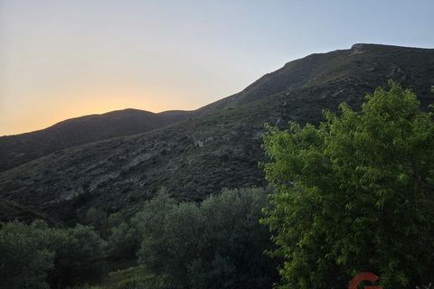 Finca i Itrabo, Granada, Itrabo - € 69.000 | Ref: M710 - foto 13