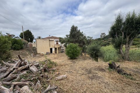 Terra a Mijas, Malaga, Mijas - € 375.000 | Ref: 428-05517P - foto 3
