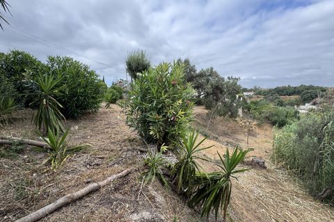 Terra a Mijas, Malaga, Mijas - € 375.000 | Ref: 428-05517P - foto 6