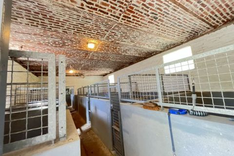 Villa a Wail, Pas-de-Calais, Wail - € 351.000 | Ref: 9787A - foto 19