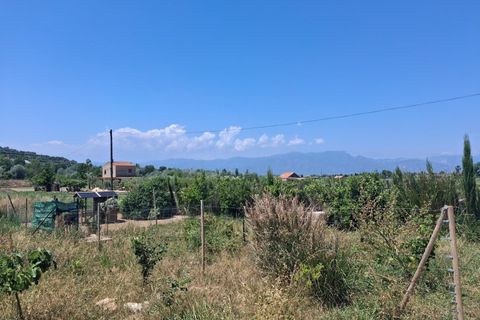 Villa i Amposta, Tarragona, Amposta - € 140.000 | Ref: EXP14644/8930 - foto 26
