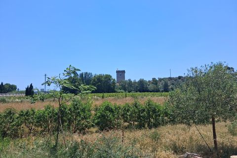 Villa i Amposta, Tarragona, Amposta - € 140.000 | Ref: EXP14644/8930 - foto 27
