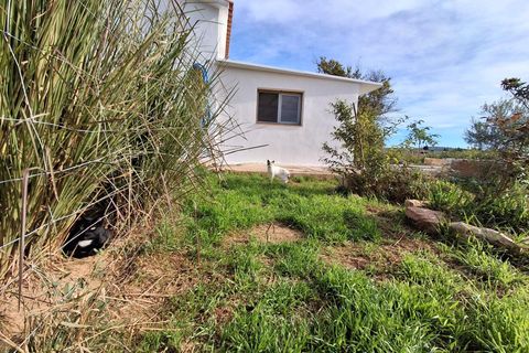 Villa i Amposta, Tarragona, Amposta - € 140.000 | Ref: EXP14644/8930 - foto 50