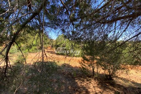 Villa i Albufeira, Faro, Albufeira - € 1.400.000 | Ref: V779 (2) - foto 32