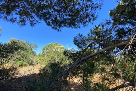Villa i Albufeira, Faro, Albufeira - € 1.400.000 | Ref: V779 (2) - foto 33