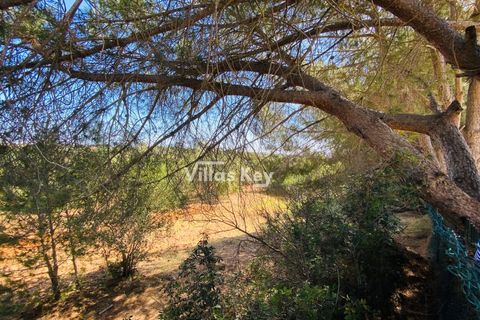 Villa i Albufeira, Faro, Albufeira - € 1.400.000 | Ref: V779 (2) - foto 34