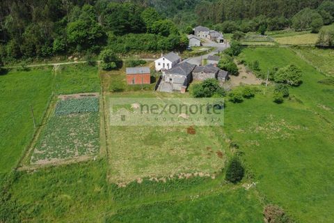 Landejendom i Ourol, Lugo, Ourol - € 40.000 | Ref: 1225 - foto 3
