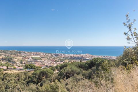 Villa i Alella, Barcelona, Alella - € 1.395.000 | Ref: PH103686/3699 - foto 3