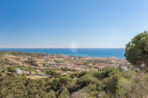 Villa i Alella, Barcelona, Alella - € 1.395.000 | Ref: PH103686/3699 - foto 39