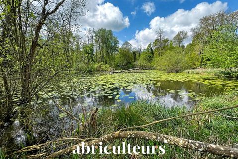 Villa a Morigny-Champigny, Essonne, Morigny-Champigny - € 2.875.000 | Ref: IFVC0906100091150_1 - foto 22