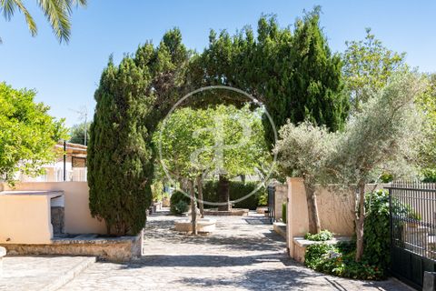 Villa a Sineu, Mallorca, Sineu - € 950.000 | Ref: VPM2605010 - foto 31