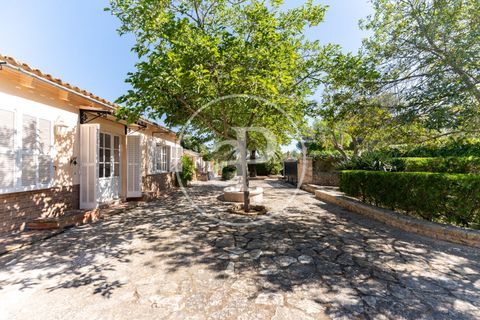 Villa a Sineu, Mallorca, Sineu - € 950.000 | Ref: VPM2605010 - foto 32