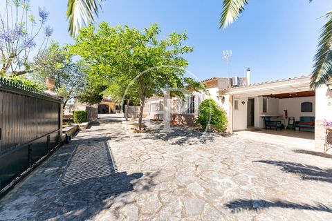 Villa a Sineu, Mallorca, Sineu - € 950.000 | Ref: VPM2605010 - foto 41