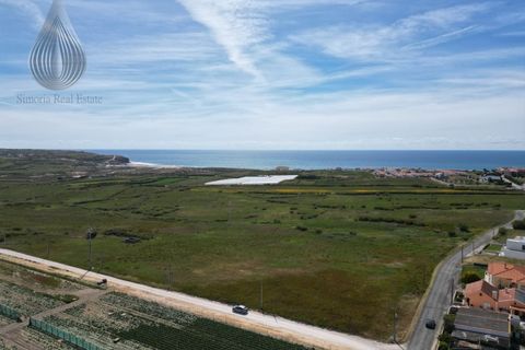 Farm i Torres Vedras, Lisbon, Torres Vedras - € 7.000.000 | Ref: MAS_226 - foto 2