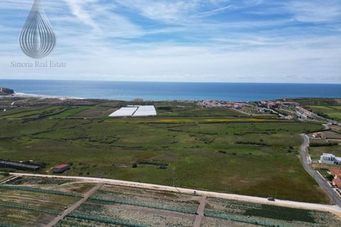 Farm i Torres Vedras, Lisbon, Torres Vedras - € 7.000.000 | Ref: MAS_226 - foto 4