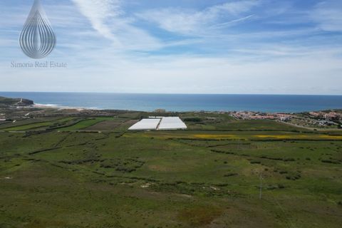 Farm i Torres Vedras, Lisbon, Torres Vedras - € 7.000.000 | Ref: MAS_226 - foto 5