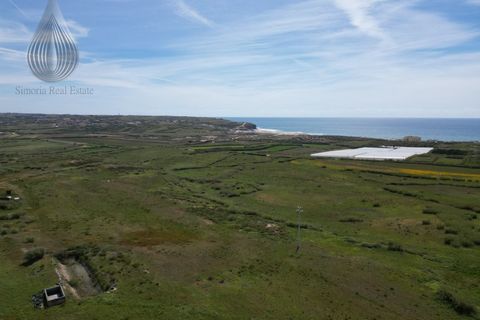 Farm i Torres Vedras, Lisbon, Torres Vedras - € 7.000.000 | Ref: MAS_226 - foto 7