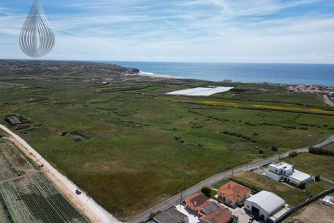 Farm i Torres Vedras, Lisbon, Torres Vedras - € 7.000.000 | Ref: MAS_226 - foto 8