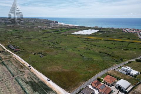 Farm i Torres Vedras, Lisbon, Torres Vedras - € 7.000.000 | Ref: MAS_226 - foto 9