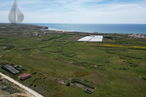 Farm i Torres Vedras, Lisbon, Torres Vedras - € 7.000.000 | Ref: MAS_226 - foto 10