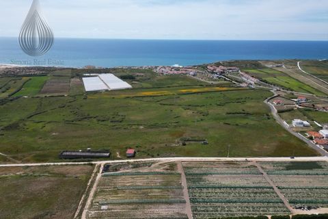 Farm i Torres Vedras, Lisbon, Torres Vedras - € 7.000.000 | Ref: MAS_226 - foto 11