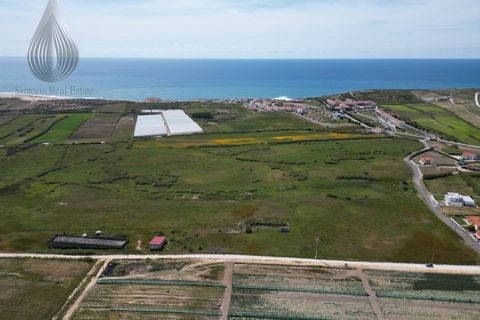Farm i Torres Vedras, Lisbon, Torres Vedras - € 7.000.000 | Ref: MAS_226 - foto 12