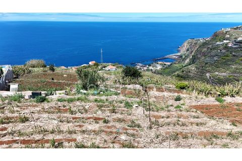 Helårsgrund i Ribeira Brava, Madeira, Ribeira Brava - € 370.000 | Ref: 3308 - foto 2
