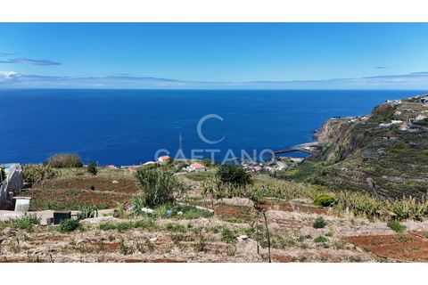 Helårsgrund i Ribeira Brava, Madeira, Ribeira Brava - € 370.000 | Ref: 3308 - foto 3