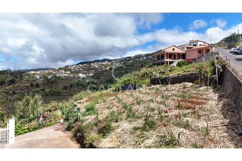 Helårsgrund i Ribeira Brava, Madeira, Ribeira Brava - € 370.000 | Ref: 3308 - foto 4