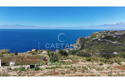 Helårsgrund i Ribeira Brava, Madeira, Ribeira Brava - € 370.000 | Ref: 3308 - foto 6
