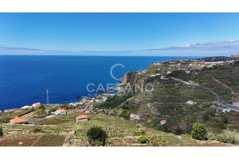 Helårsgrund i Ribeira Brava, Madeira, Ribeira Brava - € 370.000 | Ref: 3308 - foto 8
