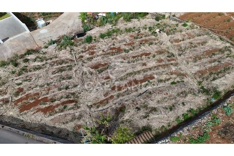 Helårsgrund i Ribeira Brava, Madeira, Ribeira Brava - € 370.000 | Ref: 3308 - foto 10