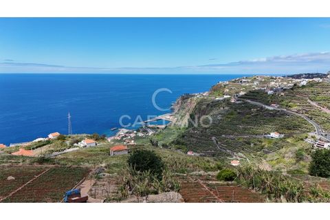Helårsgrund i Ribeira Brava, Madeira, Ribeira Brava - € 370.000 | Ref: 3308 - foto 11