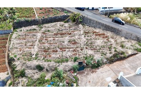 Helårsgrund i Ribeira Brava, Madeira, Ribeira Brava - € 370.000 | Ref: 3308 - foto 13
