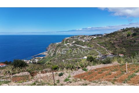 Helårsgrund i Ribeira Brava, Madeira, Ribeira Brava - € 370.000 | Ref: 3308 - foto 15