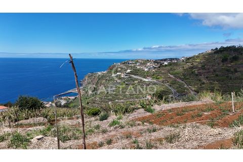 Helårsgrund i Ribeira Brava, Madeira, Ribeira Brava - € 370.000 | Ref: 3308 - foto 16